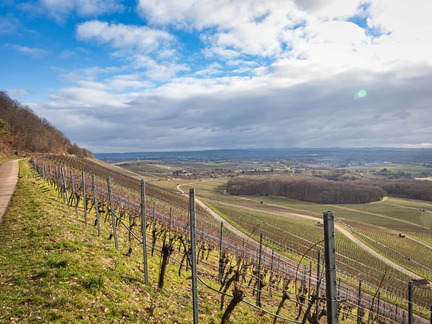 20220207142242-ad572513